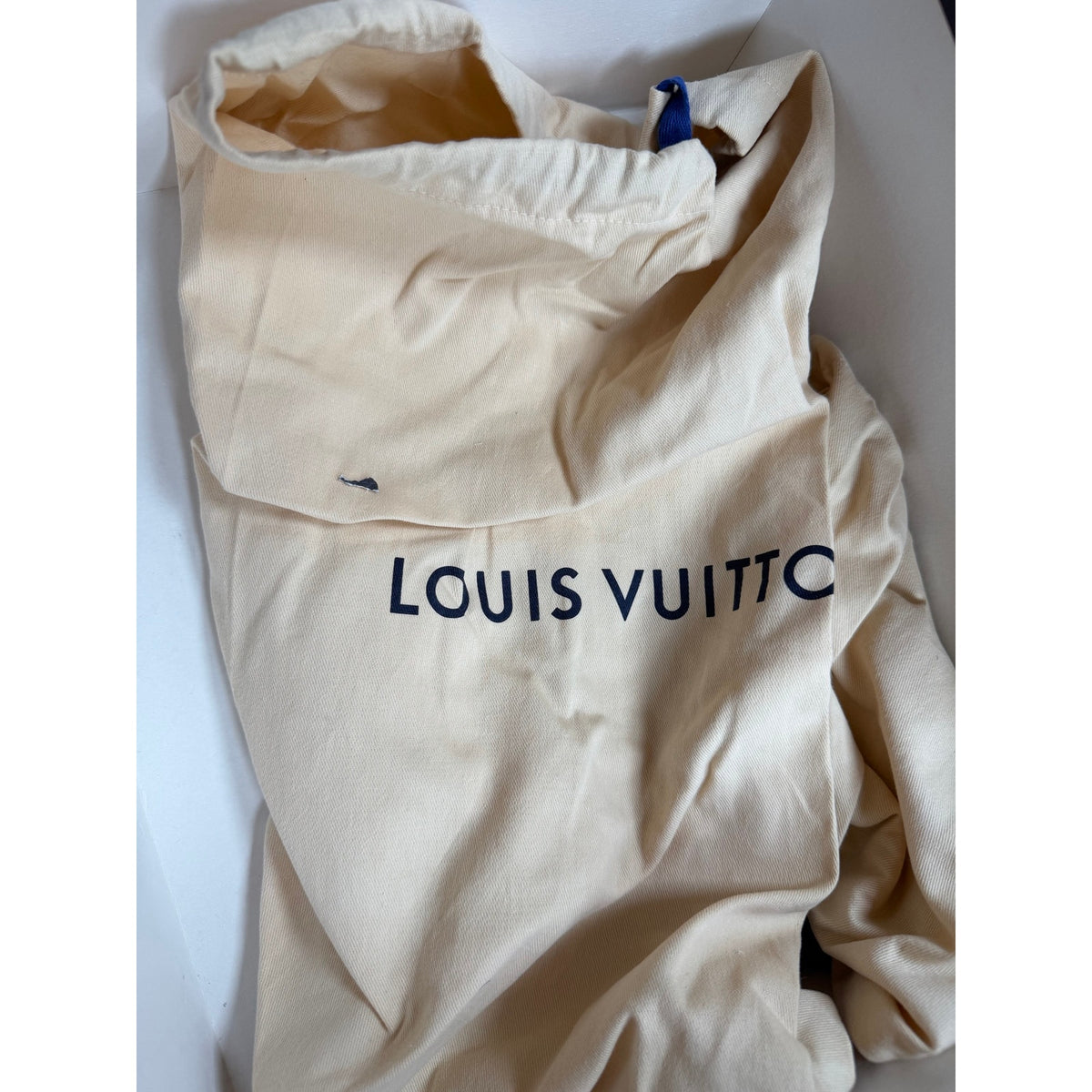 Size 40/10 - Louis Vuitton Archlight 2.0 Women’s NEW