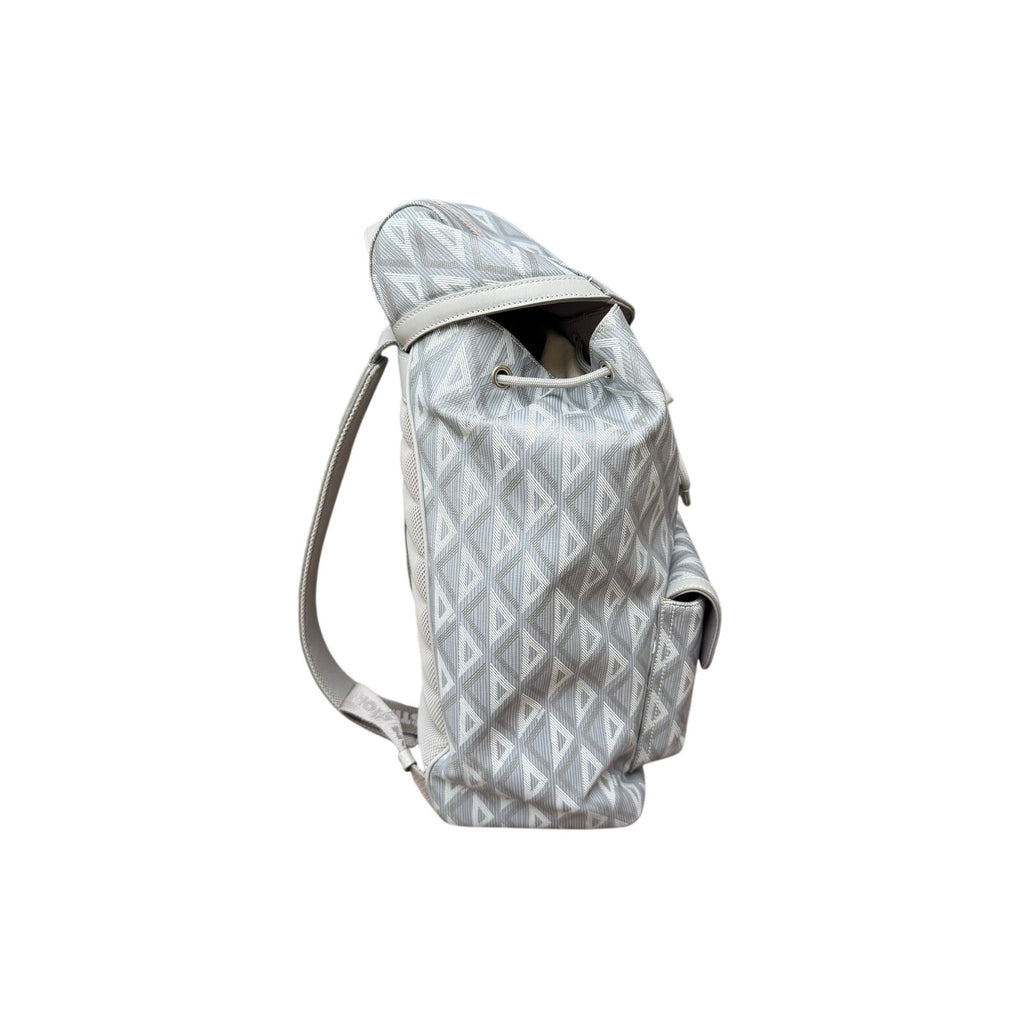 Dior Hit The Road Grey Backpack