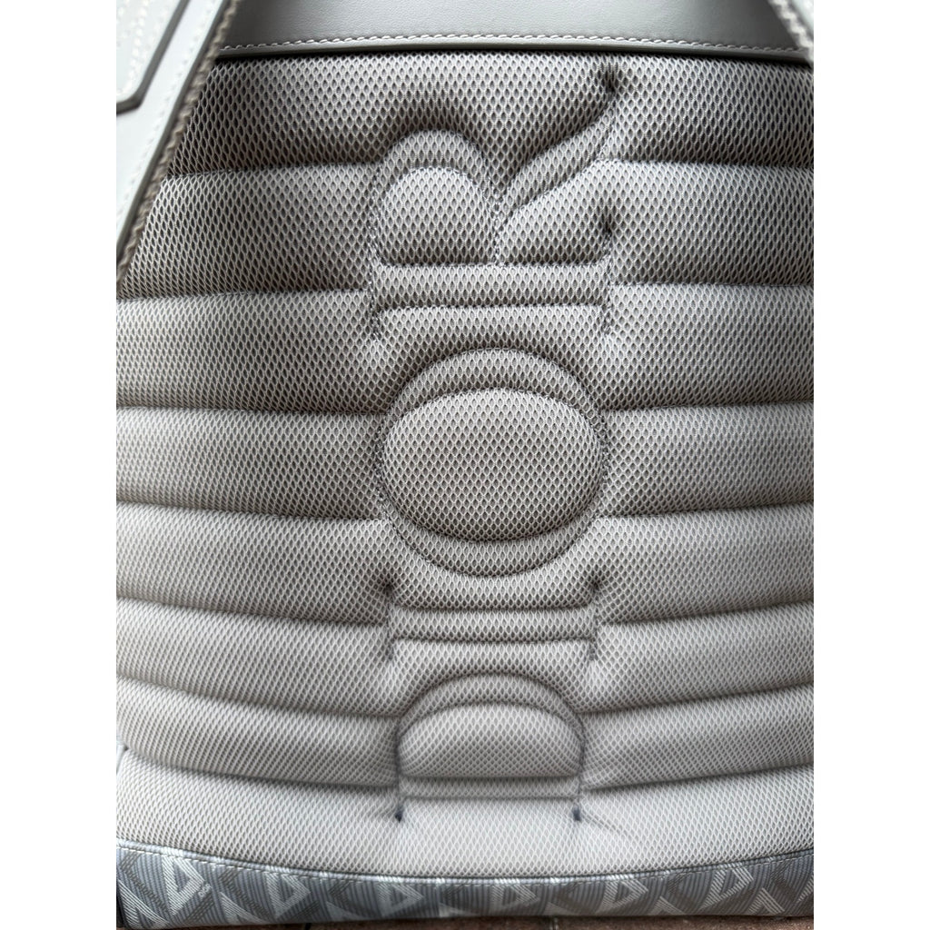 Dior Hit The Road Grey Backpack